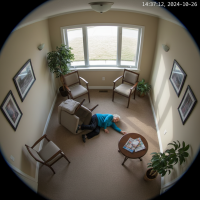 Gemini 25 Flash Image Preview Img10648 20250908 171906 Afternoon Surveillance