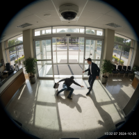 Gemini 25 Flash Image Preview Img10661 20250908 171906 Afternoon Surveillance