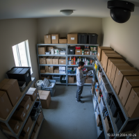 Gemini 25 Flash Image Preview Img10671 20250908 171907 Afternoon Surveillance