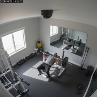 Gemini 25 Flash Image Preview Img10678 20250908 171907 Afternoon Surveillance