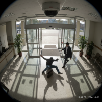 Gemini 25 Flash Image Preview Img1067 20250908 170547 Afternoon Surveillance