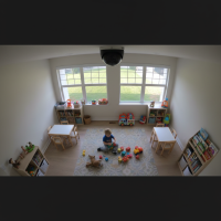 Gemini 25 Flash Image Preview Img10693 20250908 171907 Afternoon Surveillance