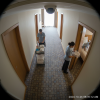 Gemini 25 Flash Image Preview Img1072 20250908 170547 Morning Surveillance