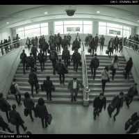 Gemini 25 Flash Image Preview Img10733 20250908 171909 Morning Surveillance