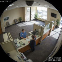 Gemini 25 Flash Image Preview Img10736 20250908 171909 Morning Surveillance