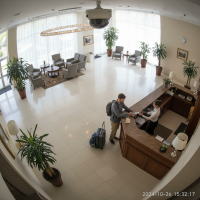 Gemini 25 Flash Image Preview Img10741 20250908 171910 Afternoon Surveillance