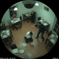 Gemini 25 Flash Image Preview Img10745 20250908 171910 Evening Surveillance