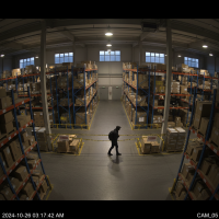 Gemini 25 Flash Image Preview Img1079 20250908 171252 Night Surveillance