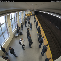 Gemini 25 Flash Image Preview Img10806 20250908 171912 Morning Surveillance