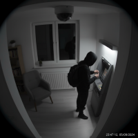 Gemini 25 Flash Image Preview Img10816 20250908 171913 Night Surveillance