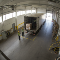 Gemini 25 Flash Image Preview Img10826 20250908 171913 Morning Surveillance