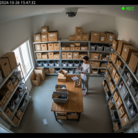 Gemini 25 Flash Image Preview Img10827 20250908 171913 Afternoon Surveillance