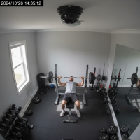 Gemini 25 Flash Image Preview Img1084 20250908 170548 Afternoon Surveillance