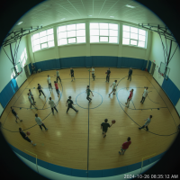 Gemini 25 Flash Image Preview Img10877 20250908 171915 Morning Surveillance