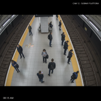 Gemini 25 Flash Image Preview Img10884 20250908 171915 Morning Surveillance