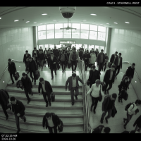 Gemini 25 Flash Image Preview Img10889 20250908 171916 Morning Surveillance