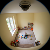 Gemini 25 Flash Image Preview Img10927 20250908 171917 Afternoon Surveillance