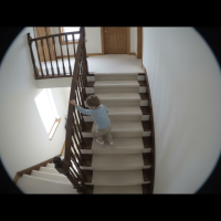 Gemini 25 Flash Image Preview Img10929 20250908 171917 Daytime Surveillance