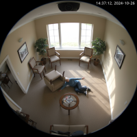 Gemini 25 Flash Image Preview Img10960 20250908 171918 Afternoon Surveillance