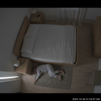 Gemini 25 Flash Image Preview Img1097 20250908 170550 Bedroom Night Surveillance