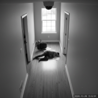 Gemini 25 Flash Image Preview Img1115 20250908 170553 Afternoon Surveillance