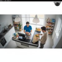 Gemini 25 Flash Image Preview Img1117 20250908 170553 Afternoon Surveillance