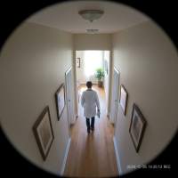 Gemini 25 Flash Image Preview Img1131 20250908 170555 Daytime Surveillance