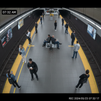 Gemini 25 Flash Image Preview Img1134 20250908 170555 Morning Surveillance