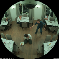 Gemini 25 Flash Image Preview Img1151 20250908 170558 Evening Surveillance