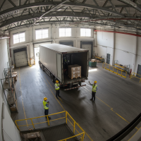 Gemini 25 Flash Image Preview Img1154 20250908 170558 Morning Surveillance