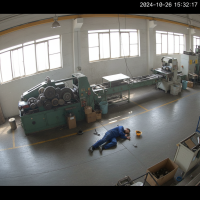 Gemini 25 Flash Image Preview Img1156 20250908 170558 Afternoon Surveillance