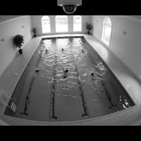 Gemini 25 Flash Image Preview Img1159 20250908 170559 Afternoon Surveillance