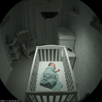 Gemini 25 Flash Image Preview Img1176 20250908 170602 Night Surveillance