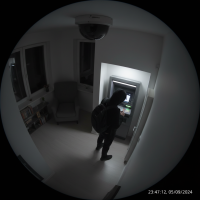 Gemini 25 Flash Image Preview Img1222 20250908 170608 Night Surveillance