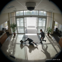 Gemini 25 Flash Image Preview Img1223 20250908 170609 Afternoon Surveillance