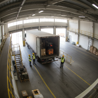 Gemini 25 Flash Image Preview Img1232 20250908 170610 Morning Surveillance