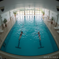 Gemini 25 Flash Image Preview Img1237 20250908 170611 Afternoon Surveillance