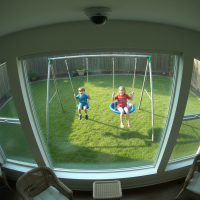 Gemini 25 Flash Image Preview Img1265 20250908 170614 Afternoon Surveillance