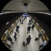 Gemini 25 Flash Image Preview Img1290 20250908 170618 Morning Surveillance