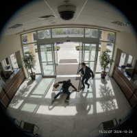 Gemini 25 Flash Image Preview Img1301 20250908 170619 Afternoon Surveillance