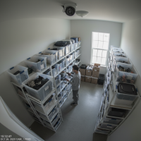 Gemini 25 Flash Image Preview Img1311 20250908 170621 Afternoon Surveillance