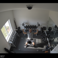 Gemini 25 Flash Image Preview Img1318 20250908 170622 Afternoon Surveillance