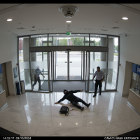 Gemini 25 Flash Image Preview Img131 20250908 154953 Afternoon Surveillance