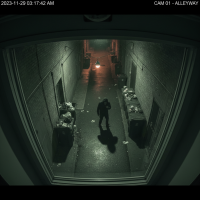 Gemini 25 Flash Image Preview Img1321 20250908 170622 Night Surveillance