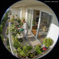 Gemini 25 Flash Image Preview Img132 20250908 084743 Morning Surveillance