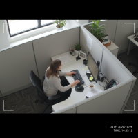 Gemini 25 Flash Image Preview Img1344 20250908 170626 Working Daytime Surveillance