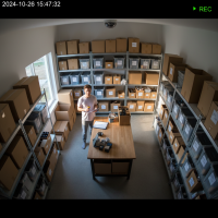 Gemini 25 Flash Image Preview Img1389 20250908 170632 Afternoon Surveillance