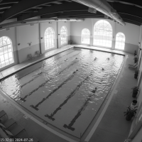 Gemini 25 Flash Image Preview Img1393 20250908 170633 Afternoon Surveillance