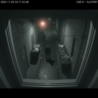 Gemini 25 Flash Image Preview Img1399 20250908 170633 Night Surveillance