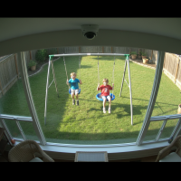 Gemini 25 Flash Image Preview Img1421 20250908 170637 Afternoon Surveillance